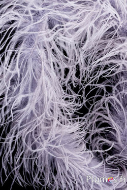 Boa en plumes d'autruche - 4 plis, 2 m - gris argenté